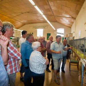 Tierbesprechung mit Stephan Haftendorn